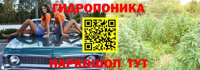 круглые Кимры