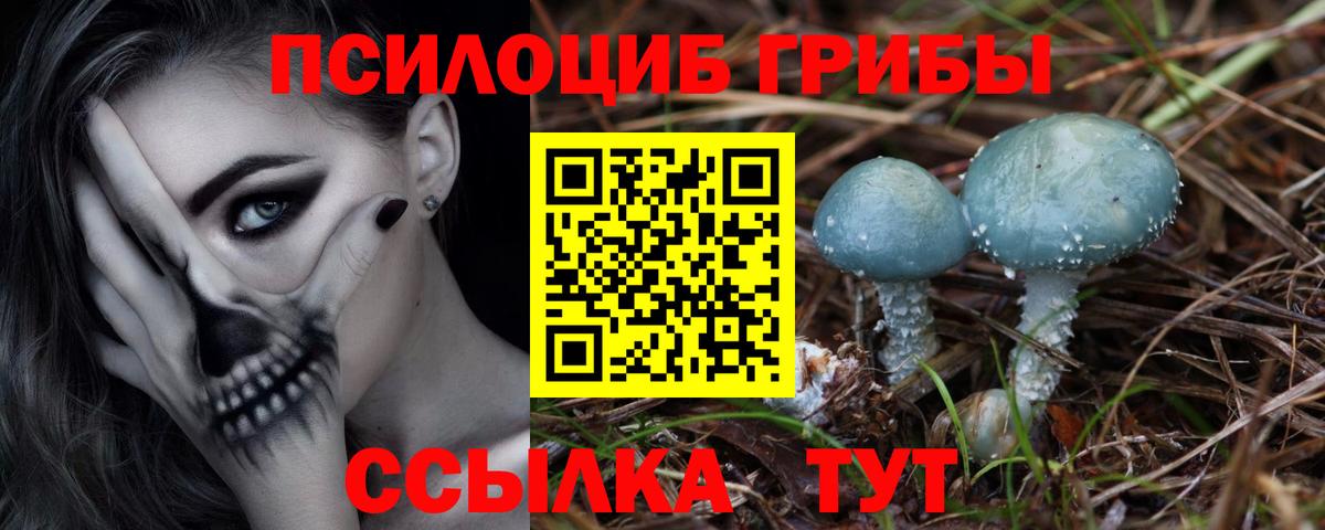 Псилоцибиновые грибы мухоморы Валуйки