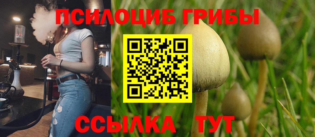 Валуйки  Псилоцибиновые грибы ЛСД  Вход с VPN  Галлюциногенные грибы GOLDEN TEACHER 